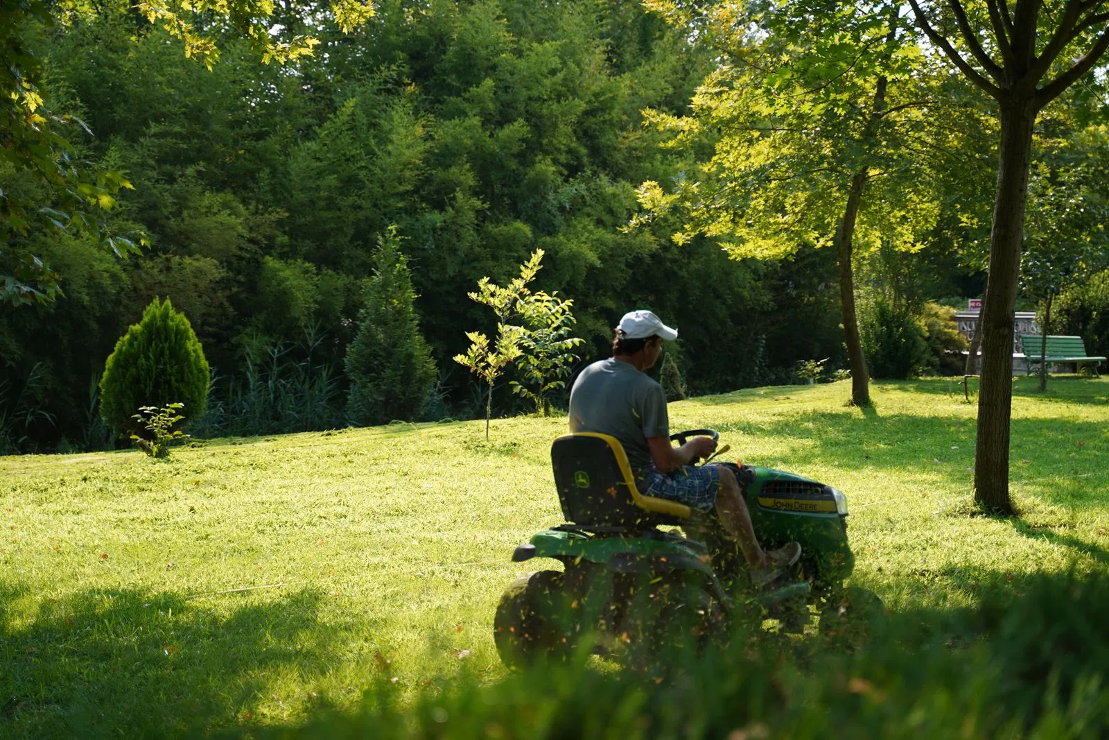 A man guiding a lawn mower across a lush garden lawn under tall trees