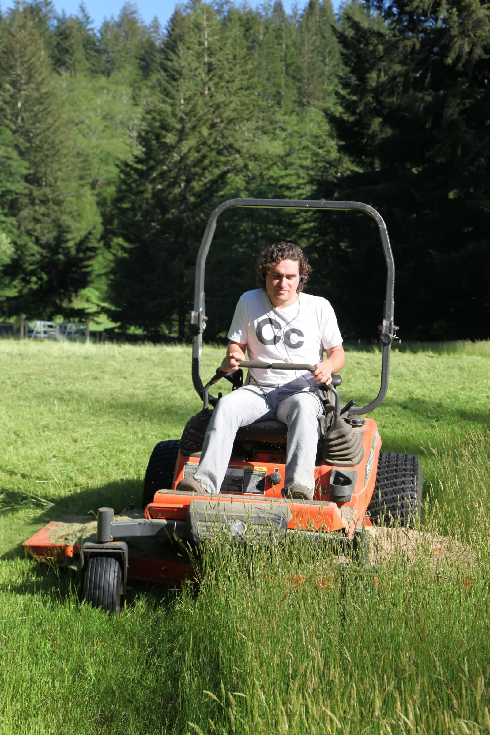 A riding mower cutting a wide green lawn on a summer afternoon