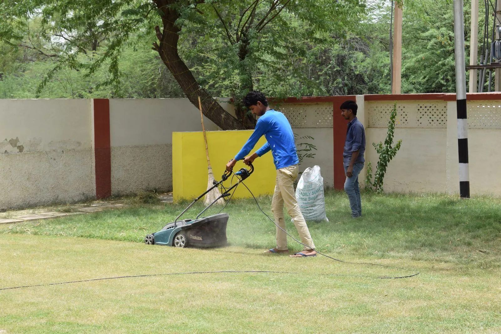 Two crew members working together on lawn maintenance in a sunny garden