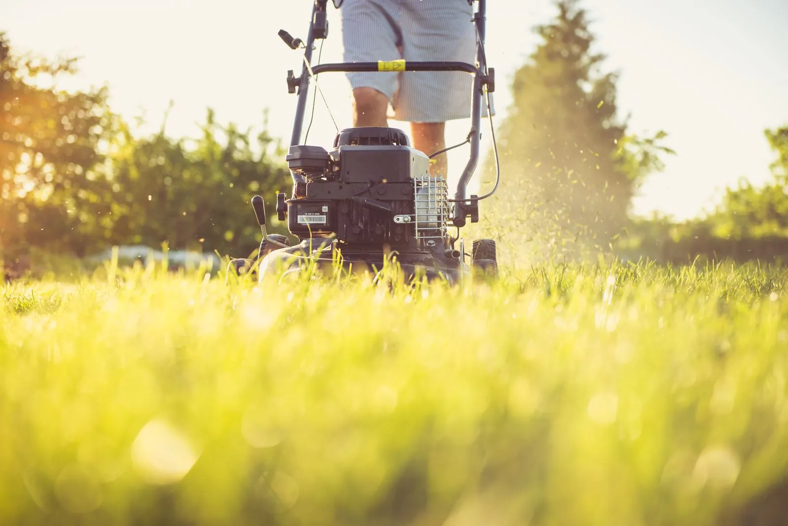 Close-up of a gas mower cutting a clean stripe through summer grass