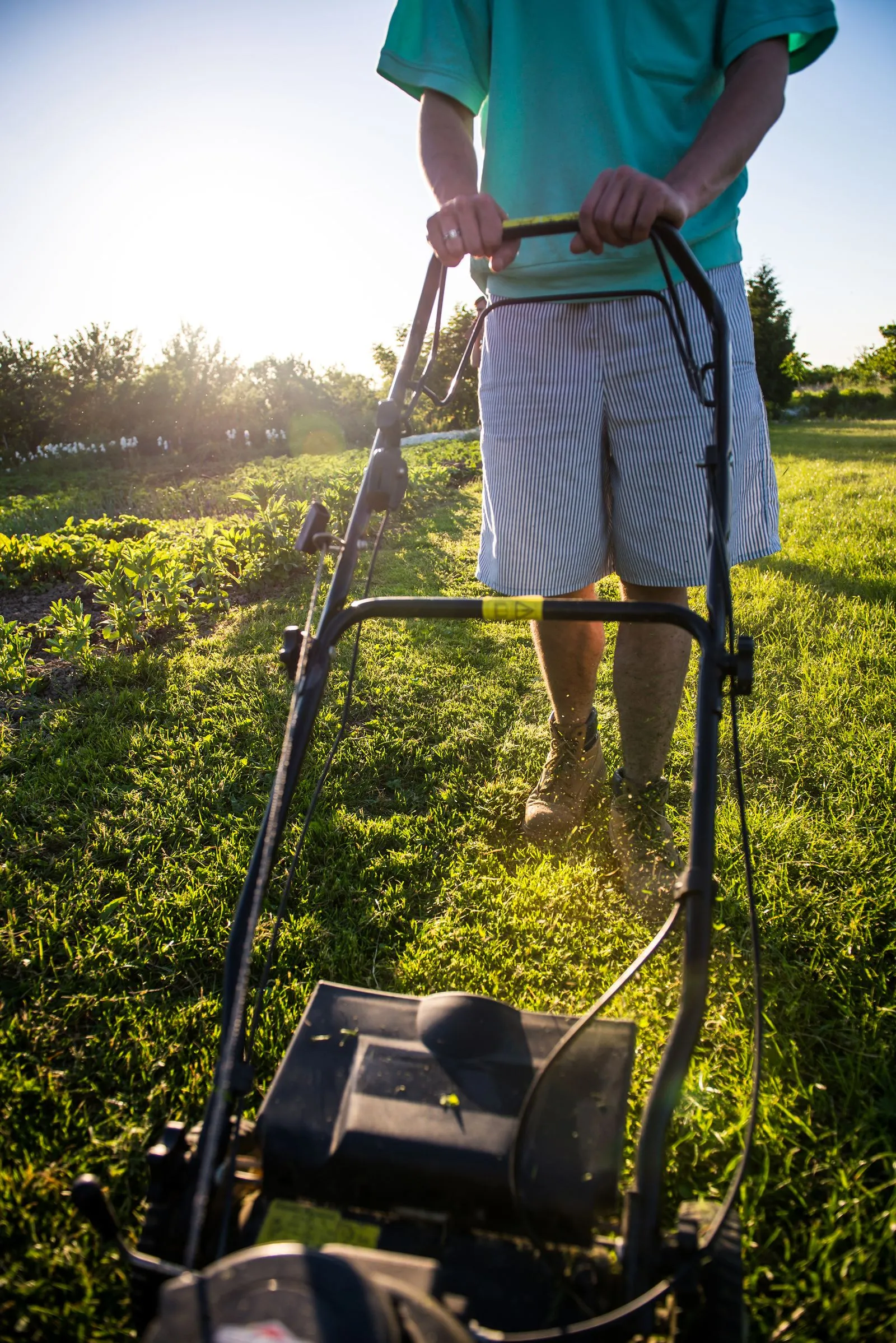 A crew member mowing a bright green lawn with a push mower on a sunny day